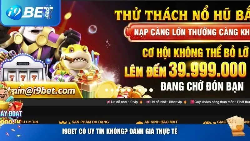 i9bet có uy tín không? Đánh giá thực tế